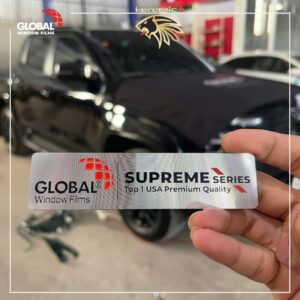 Dán PPF Global