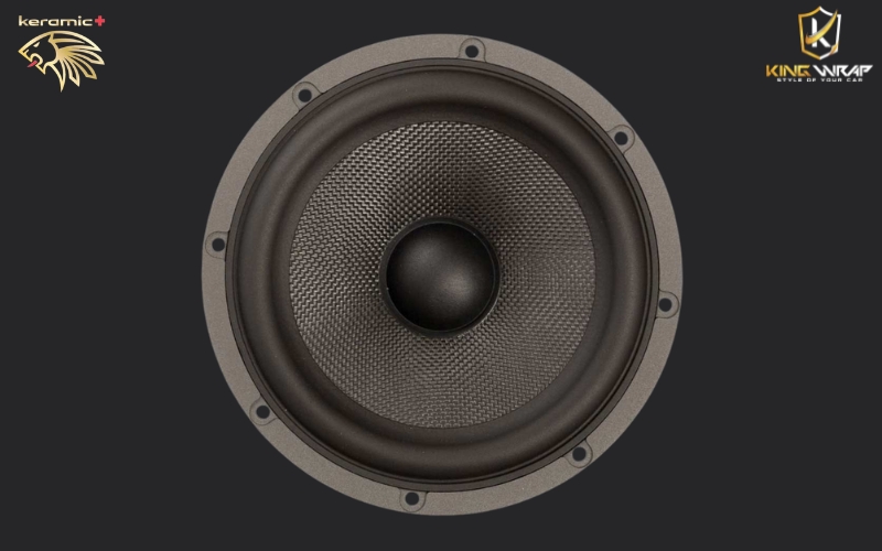 Loa bass DLS SCANDINAVIA 165