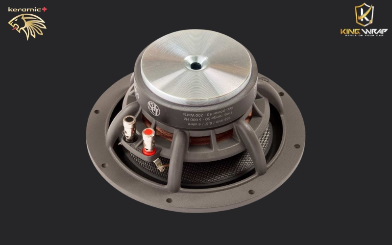 Loa bass DLS SCANDINAVIA 165