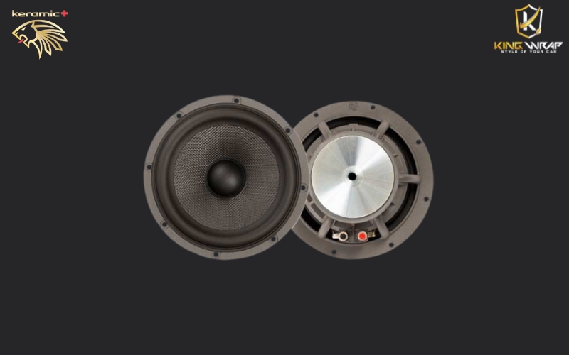Loa bass DLS SCANDINAVIA 165