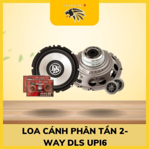 Loa cánh phân tần 2-way DLS UPi6