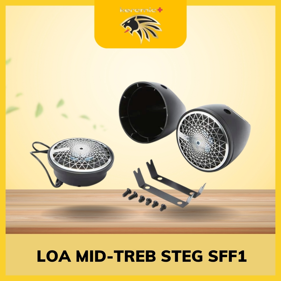 Loa Mid-Treb STEG SFF1