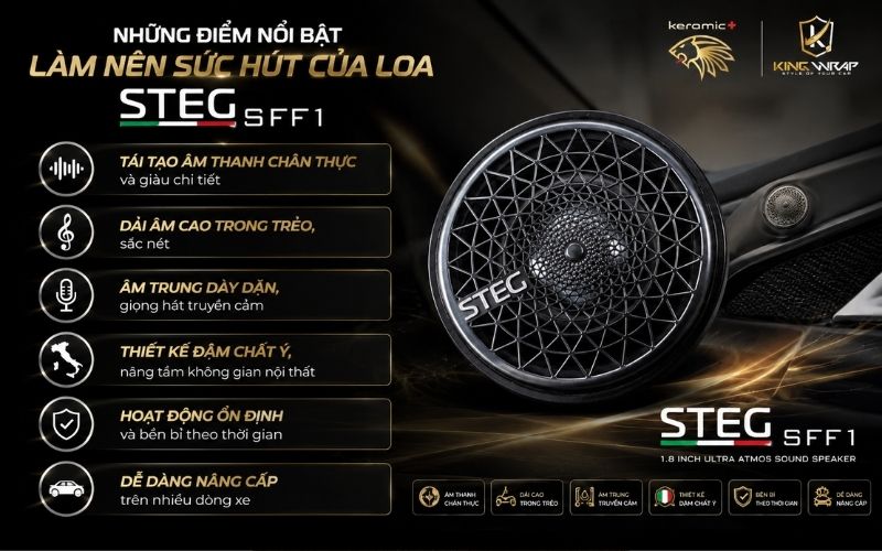 Loa Mid-Treb STEG SFF1 Loa Mid-Treb STEG SFF1