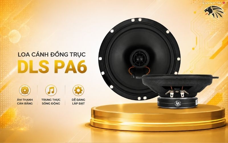 Loa cánh đồng trục DLS PA6