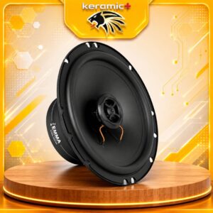 Loa cánh đồng trục DLS PA6