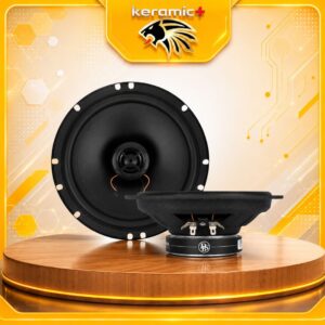 Loa cánh đồng trục DLS PA6