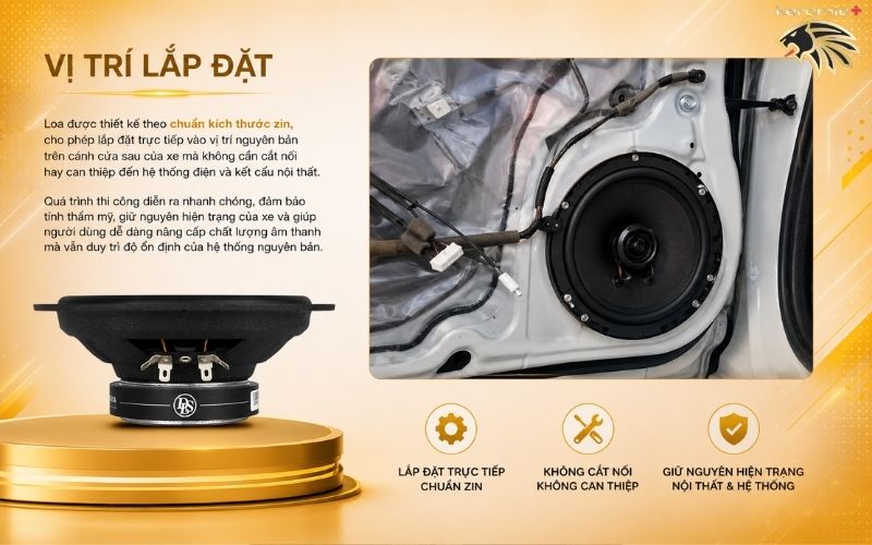Loa cánh đồng trục DLS PA6
