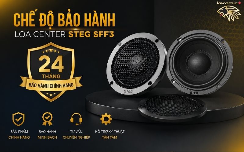 Loa Center STEG SFF3