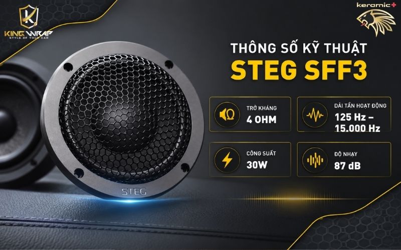 Loa Center STEG SFF3