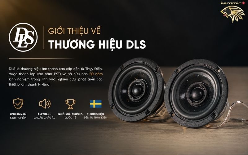 Loa đồng trục DLS RC3