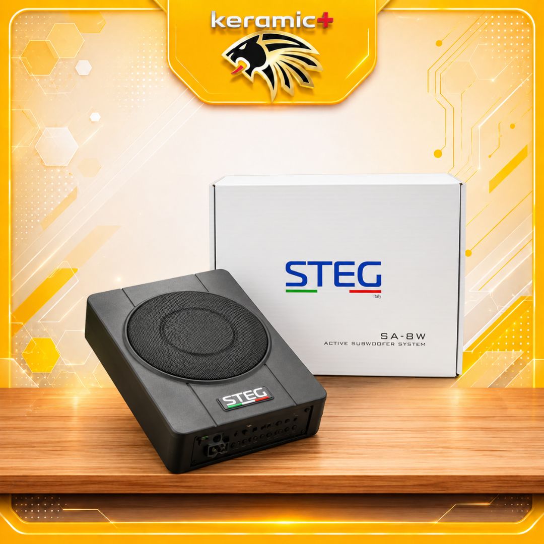Loa sub điện STEG SA-8W