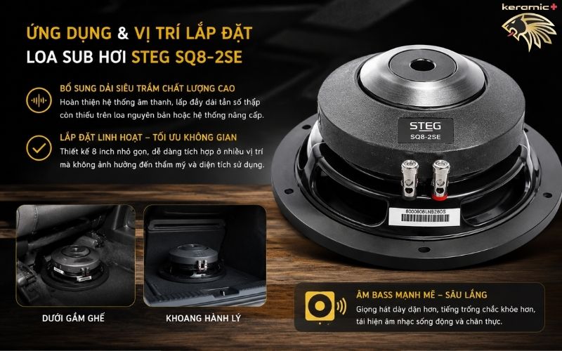Loa sub hơi STEG SQ8-2SE