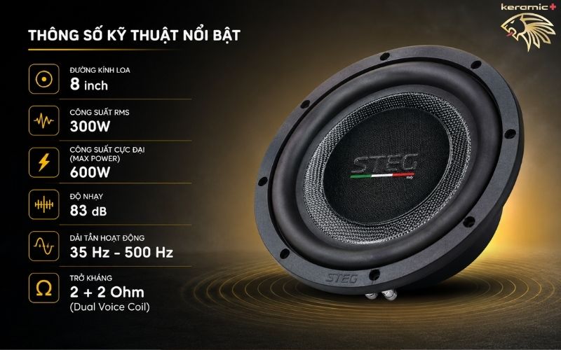 Loa sub hơi STEG SQ8-2SE
