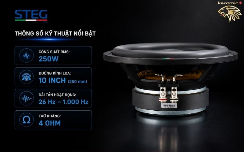 Loa sub hơi STEG ST10