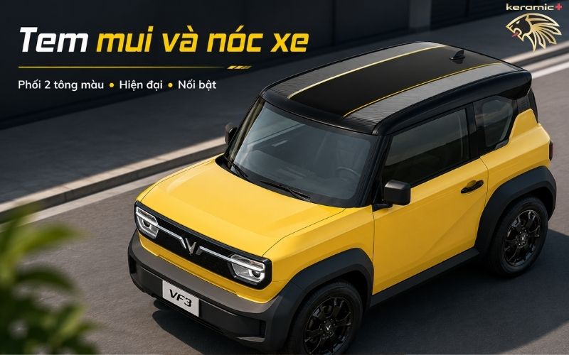 Tem xe Vinfast VF3 Tem xe Vinfast VF3